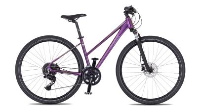 PULSE DISC  - purple / hologram